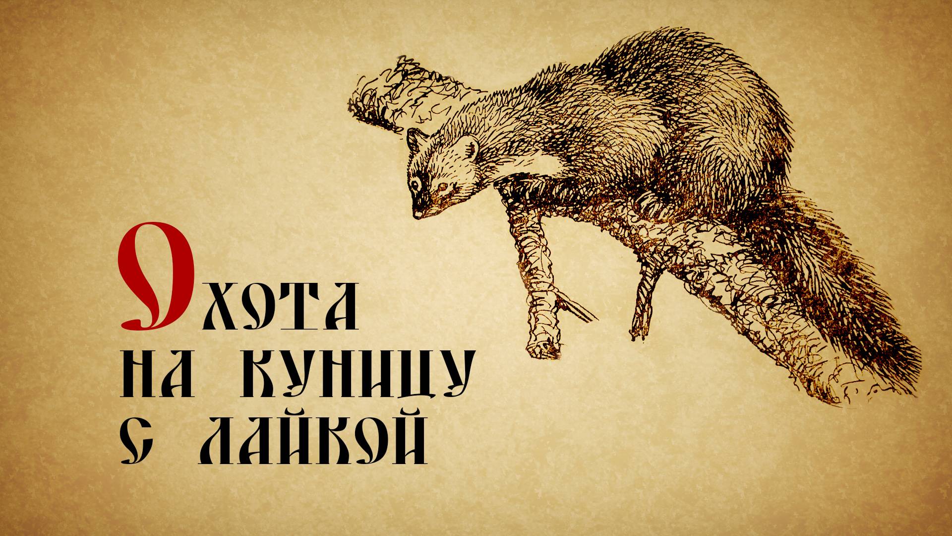 Охота на куницу с лайкой