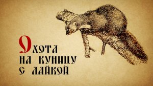 Охота на куницу с лайкой