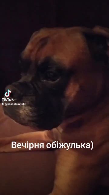 Вечірня обіжулька смотреть онлайн