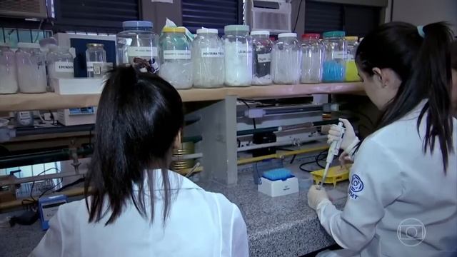 Globo Repórter: O PANTANAL - (Completo HD) - sdrone смотреть онлайн