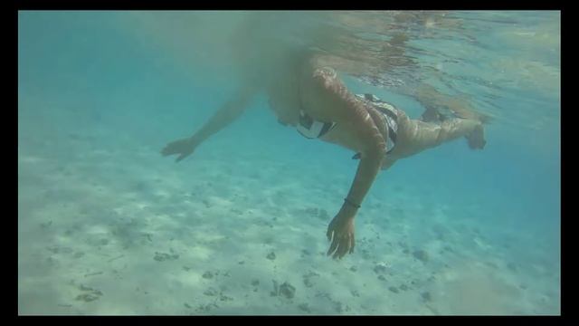 Mauritius snorkeling смотреть онлайн