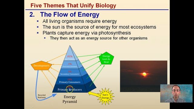 Five Themes That Unify Biology смотреть онлайн
