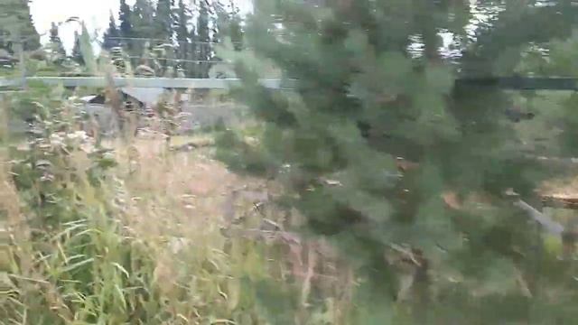 Рано , рано поутру!