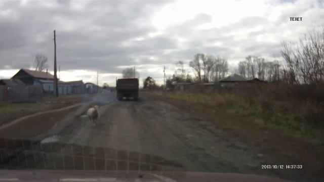 уходи баран смотреть онлайн