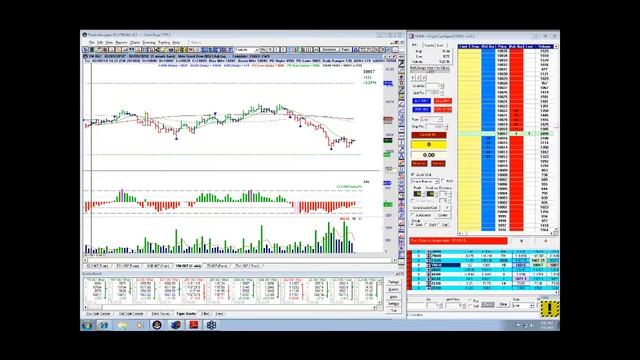 February 9th 2010: Live Tiger Trading Room (HD) смотреть онлайн