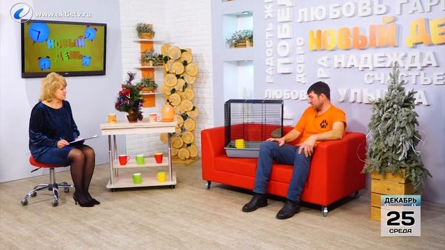 Живая среда смотреть онлайн