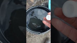 ЭНРОФЛОН 10℅ Гусятам #гусь #гусята