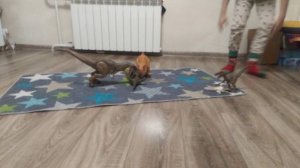 как живут деназавры