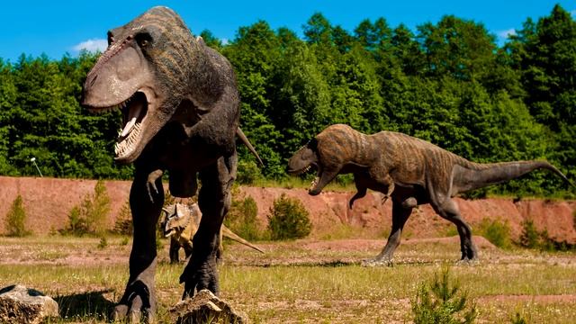 Czy TYRANOZAUR miał pióra? смотреть онлайн