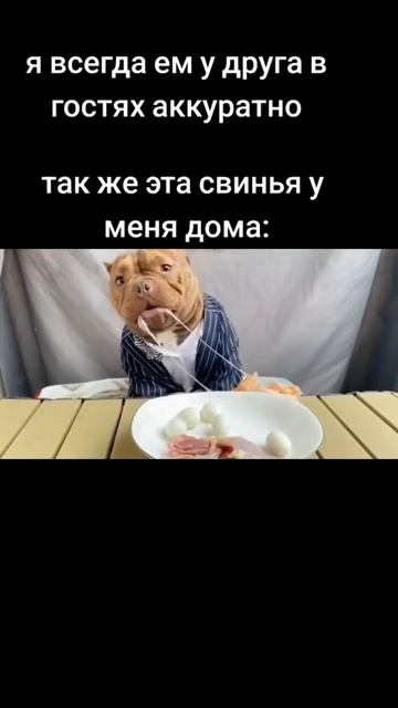 #друг#еда#мясо#рекомендации смотреть онлайн