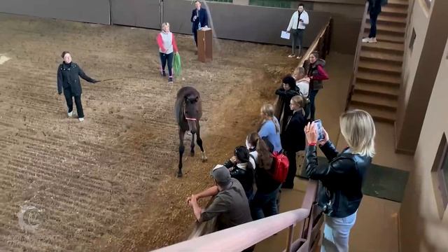 Лизгинка смотреть онлайн