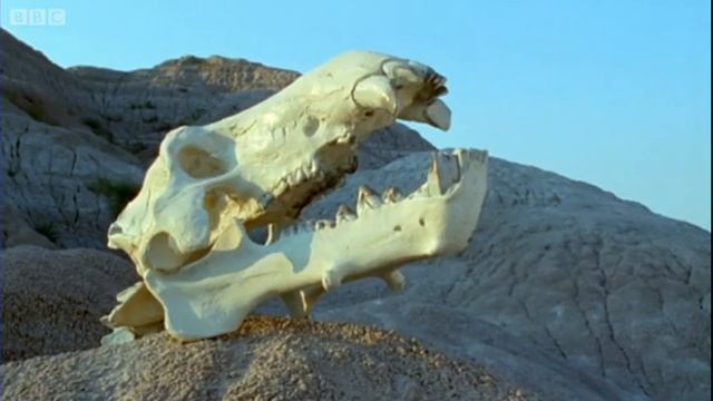 Prehistoric Mammals | Life Of Mammals | BBC Earth