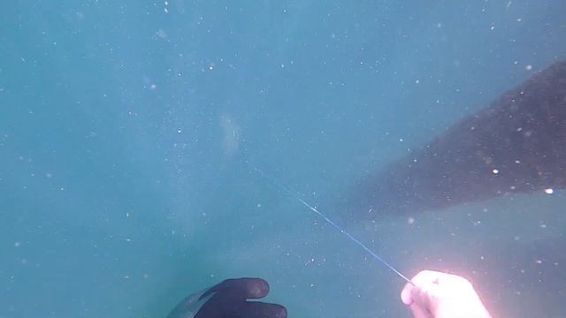 Spearfishing Boca Grande at the phosphate docks смотреть онлайн