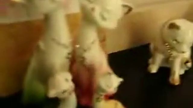 ~БАНАНАЗОР~МОИ СТАТУЭТКИ КОТИКОВ :3 смотреть онлайн