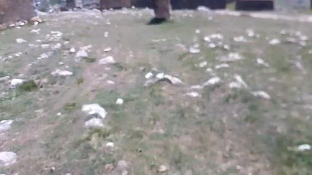 бобер в горах смотреть онлайн