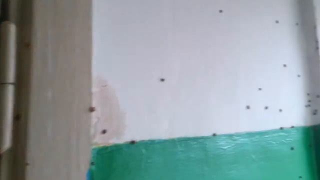 Нашествие божьих коровок смотреть онлайн