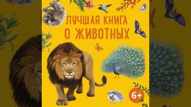 Верблюды смотреть онлайн