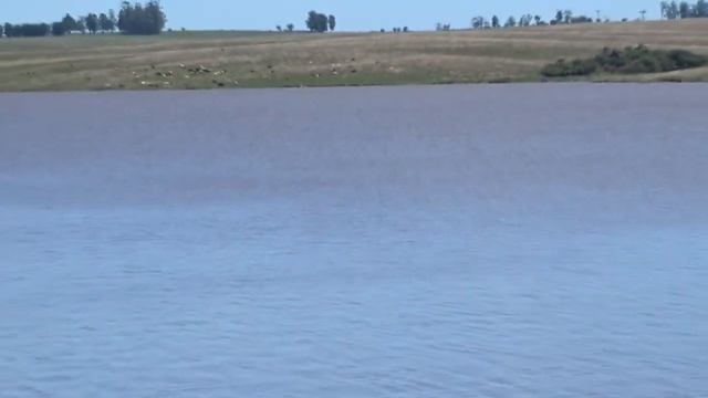 Barragem de Santiago (5/2/2021) смотреть онлайн