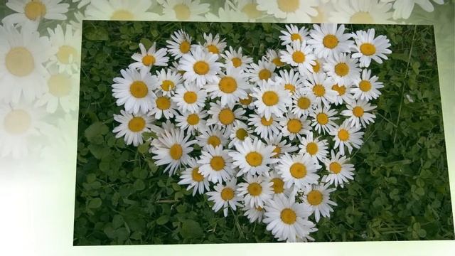 ЛЕТО - это маленькая ЖИЗНЬ! смотреть онлайн