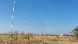 сеть которую разыгрывал Владислав на канале жизнь с птицами