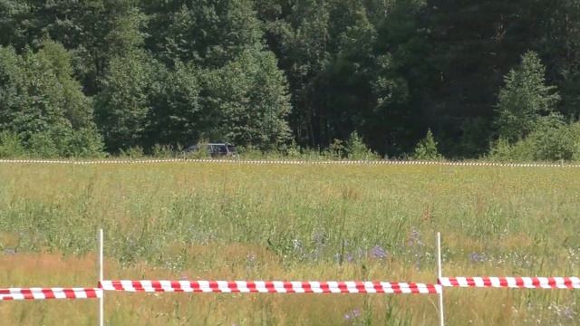 Уиппеты спринтеры - ЧРКФ по рейсингу 15.06.24, МО, д. Донино смотреть онлайн