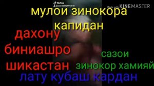 Мулои зинокора капиданд дахону бинища шикастанд