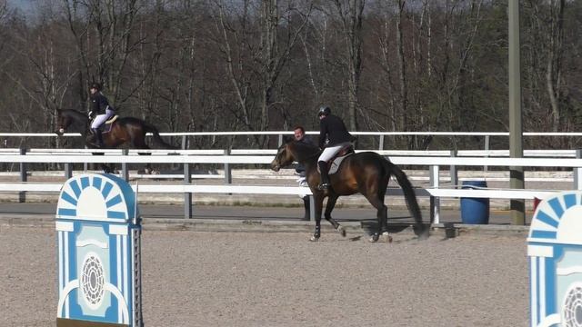 КСК Дерби , Влад на Габриель, 100 см смотреть онлайн
