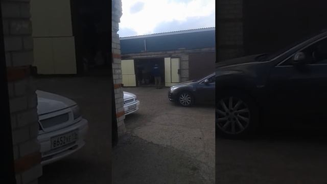 пчёлка дамиру))) смотреть онлайн