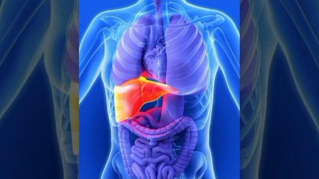 NL компаниясының өнімі DETOX 2-ші қадам. Бауыр ауруларының алдын алады. смотреть онлайн