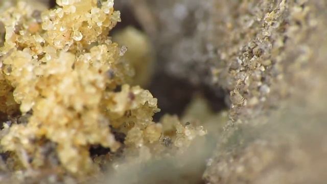 bloedbij.wmv смотреть онлайн