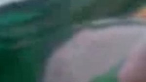 Я писию в ногу