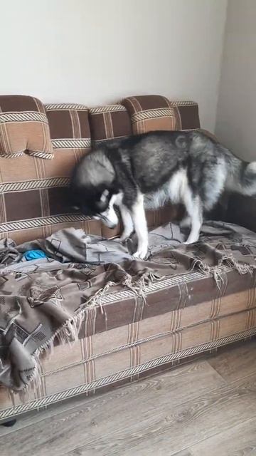 Один из ПРИЗНАКОВ что Скоро Роды смотреть онлайн
