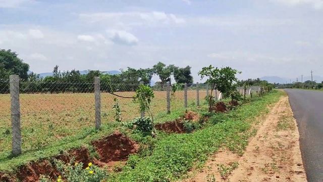 tm) 18 ACRE | TAR ROAD CONNECT | COCONUT & MANGO READY FARM | RED SOIL PROPERTY@SurabhiProperties смотреть онлайн
