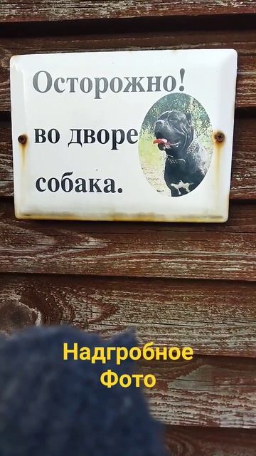 осторожно собака #люблюживотных #юморпорусски #собака #юмор #собаки смотреть онлайн