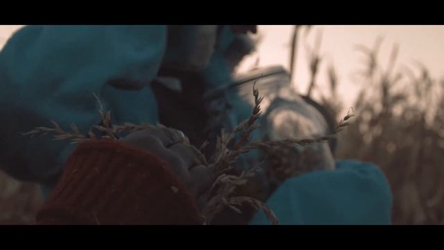 Blackmagic micro cinema cam test смотреть онлайн