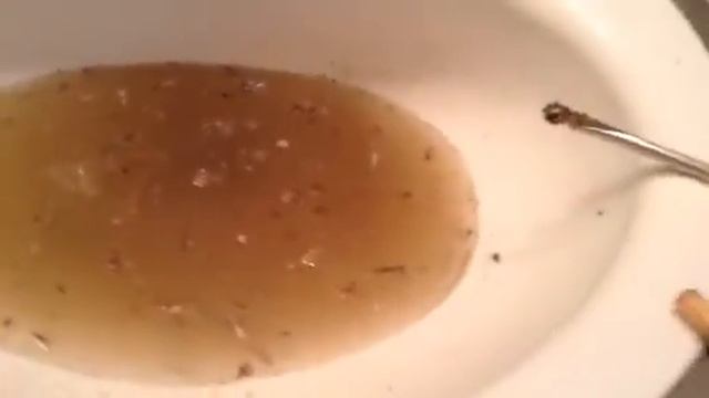 Preparing A Nesting Box For Breeding Lovebirds смотреть онлайн