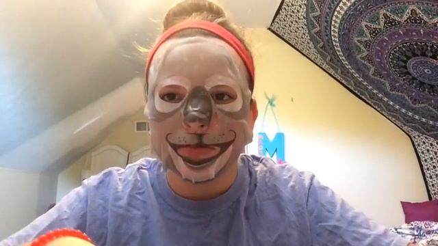 I'm a koala!!! смотреть онлайн