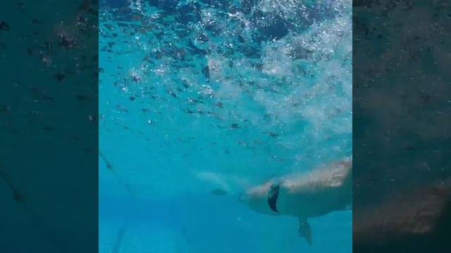 Meet James Magnussen смотреть онлайн