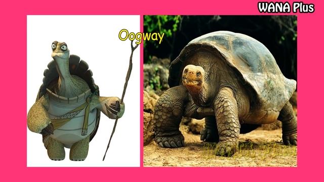Kung Fu Panda IN REAL LIFE 💥 Characters (Kung Fu Panda 3, 2, 1) 👉@WANAPlus смотреть онлайн