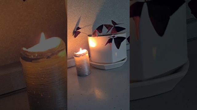 Кафка и его импотенция