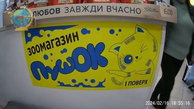 ЗООМАГАЗИН ПУШОК смотреть онлайн