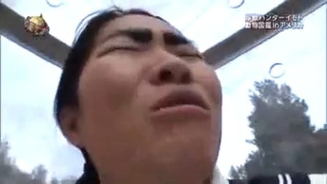 Японское шоу борьба медведя с человеком смотреть онлайн