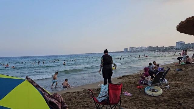Кошку-турчанку не получилось вывезти из Турции 🙃 смотреть онлайн