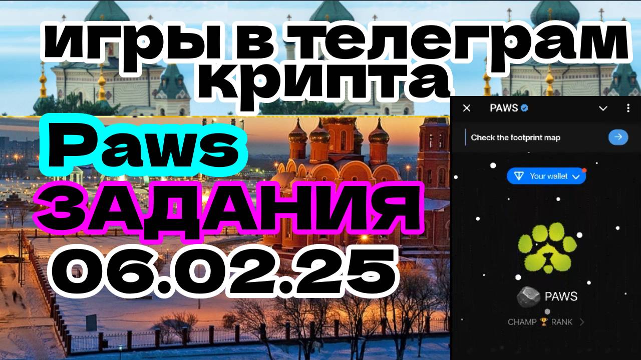 Paws задания 06.02.25