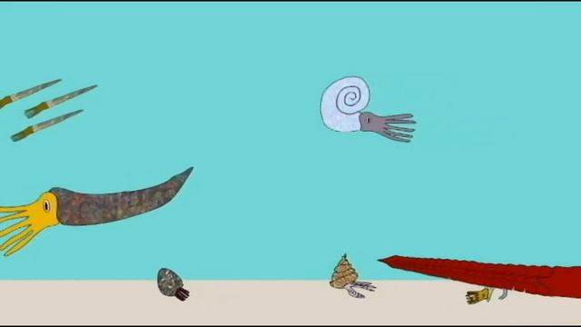 PL EXAM 1: FOSSIL CEPHALOPODS.avi смотреть онлайн