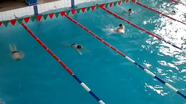 Pavel Pleshka, 26-28.01.2012, "Веселый Дельфин", г.Тирасполь смотреть онлайн