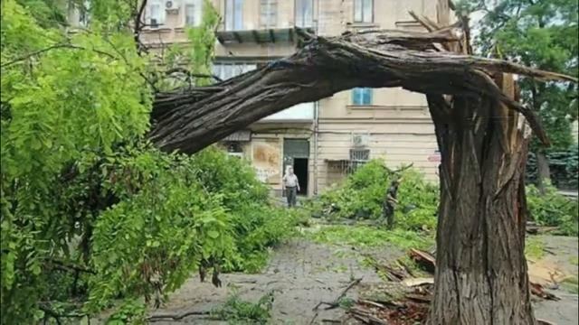 Өзбекстан: Дауыл, 4 облысты қиратып кетті смотреть онлайн