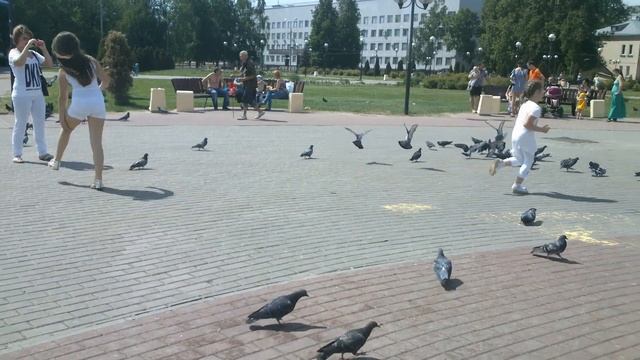 Охотники за голубями смотреть онлайн