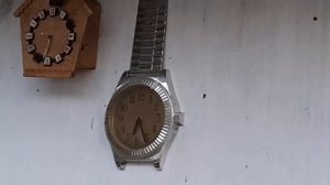 Николаевские голуби.Крым. 2 часть