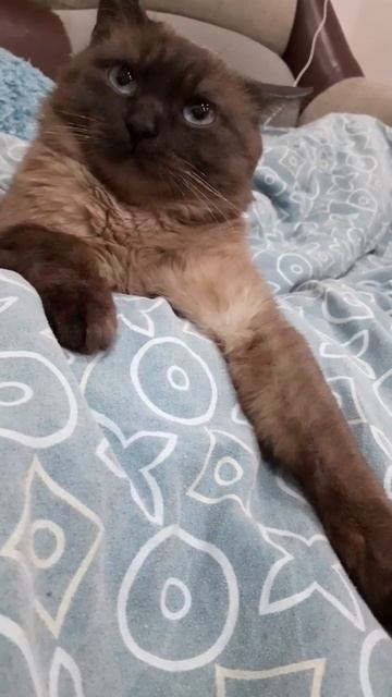 🤗😊😉🐾🐾🐾 смотреть онлайн